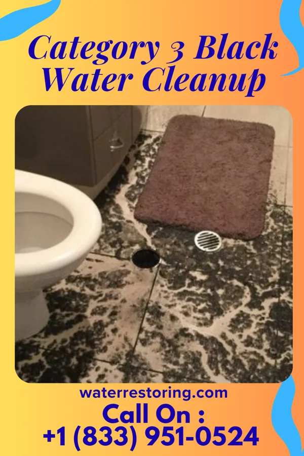 Category 3 Black Water Cleanup in Sidell, IL