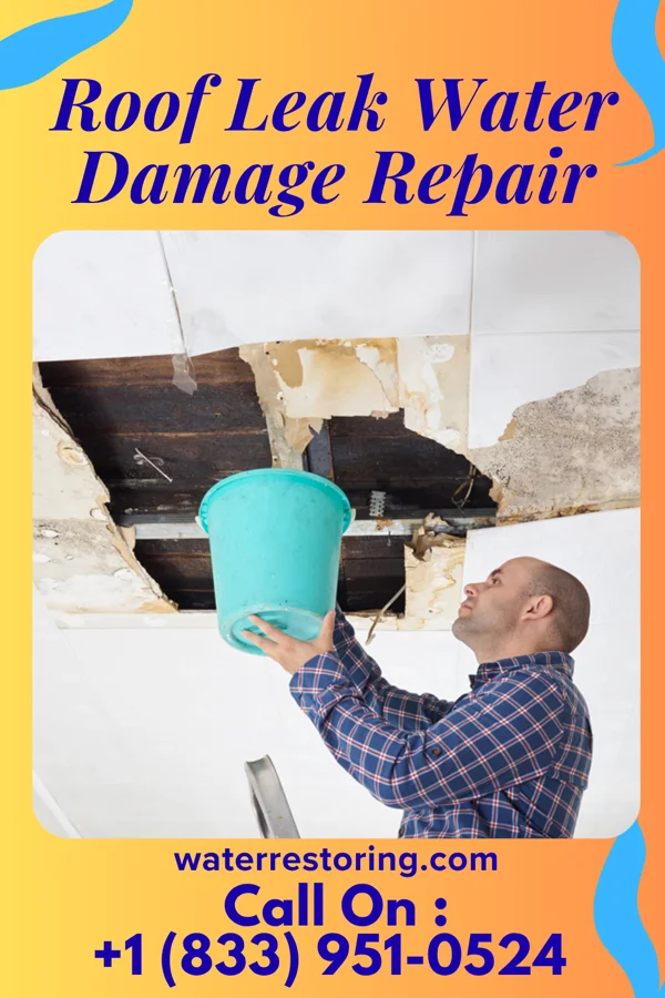 Roof Leak Water Damage Repair in Sidell, IL